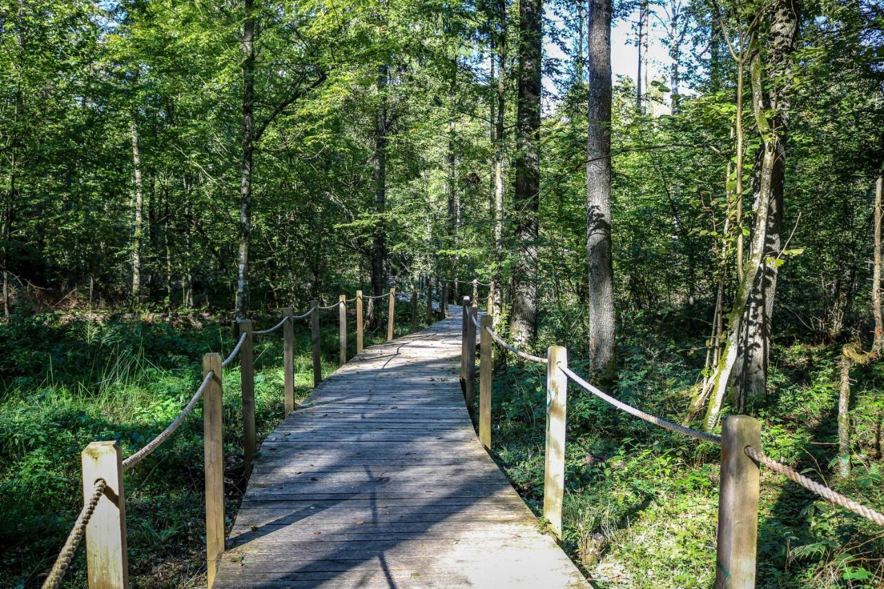 Willa Leśna 21 Dom Północ przy ZALEW SIEMIANÓWKA Luka Zewnętrze zdjęcie